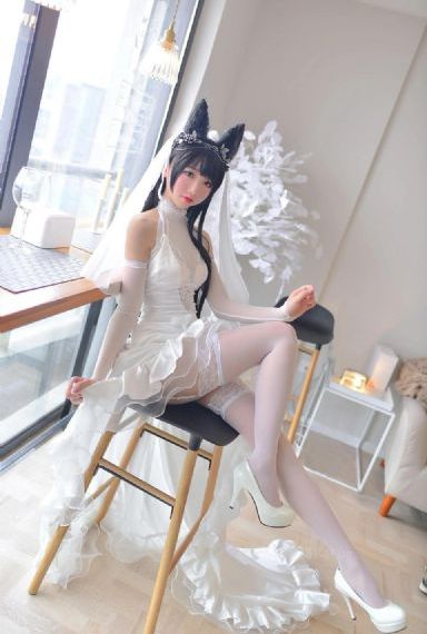 猫之茗第一季免费播放_DVD全集免费观看