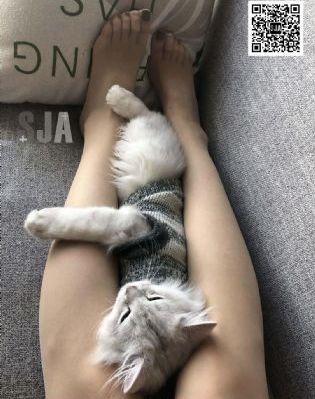 善良的儿媳在线观看_BD韩语高清视频观看