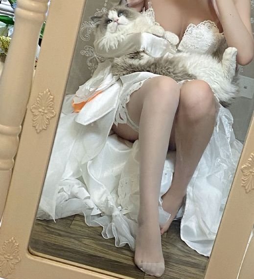91在线www_超清完整视频观看